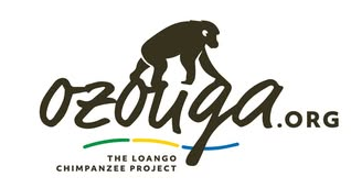 Ozouga — The Loango Chimpanzee Project